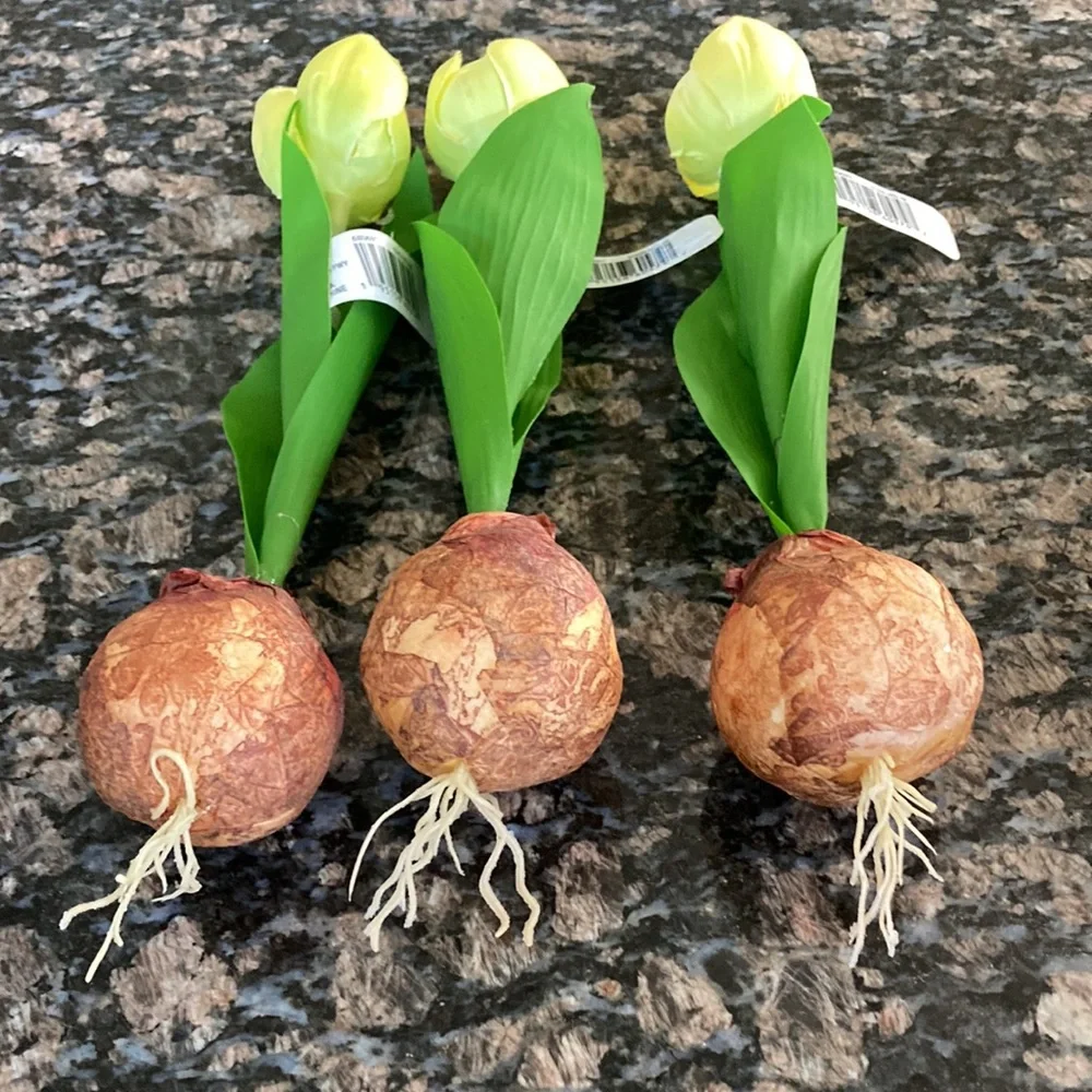 ASHLAND FAUX TULIP BULBS SET OF 8 NWT